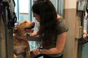 BSA headquarters in Washington, DC visited the Humane Rescue Alliance