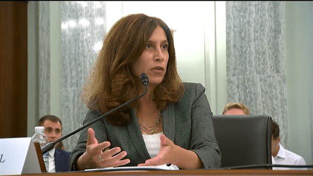 BSA CEO Victoria Espinel testifies on AI