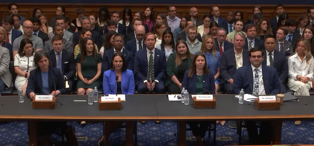 Full witness panel at hearing
